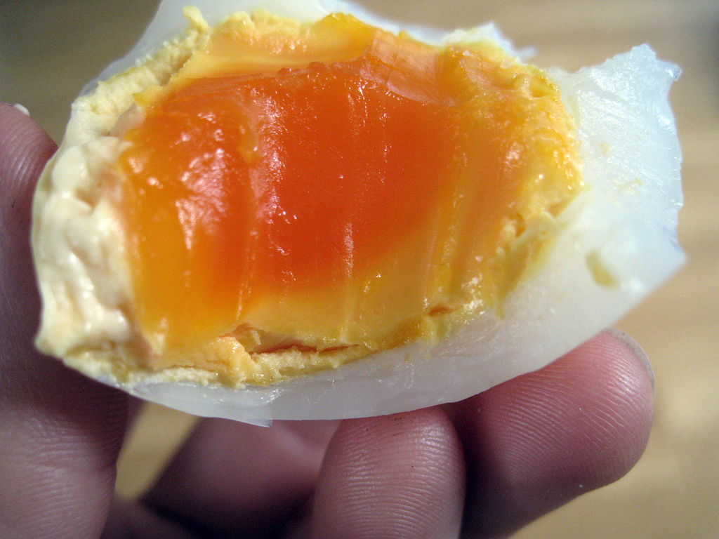 guillemot-egg-open color