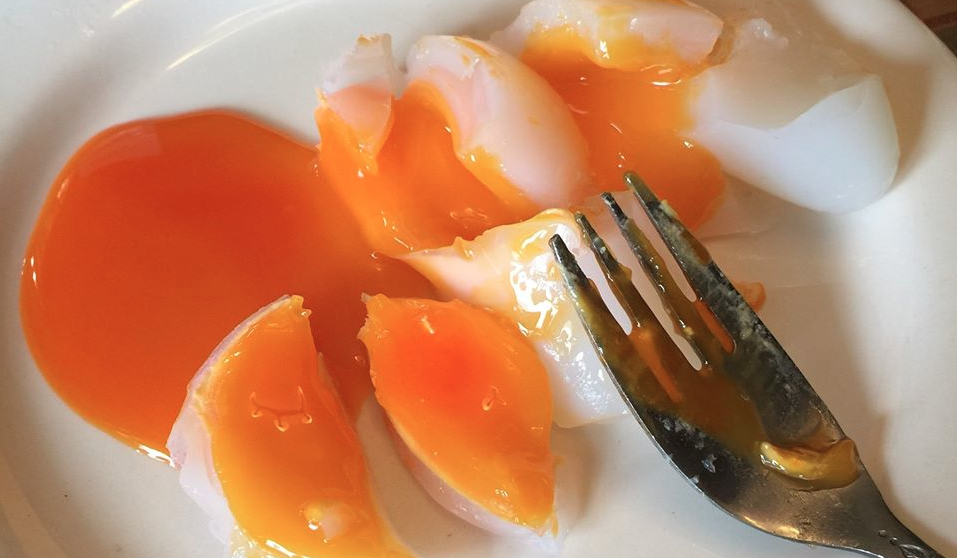 guillemot-egg-yolks