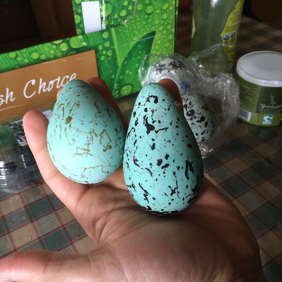 Guillemot Eggs