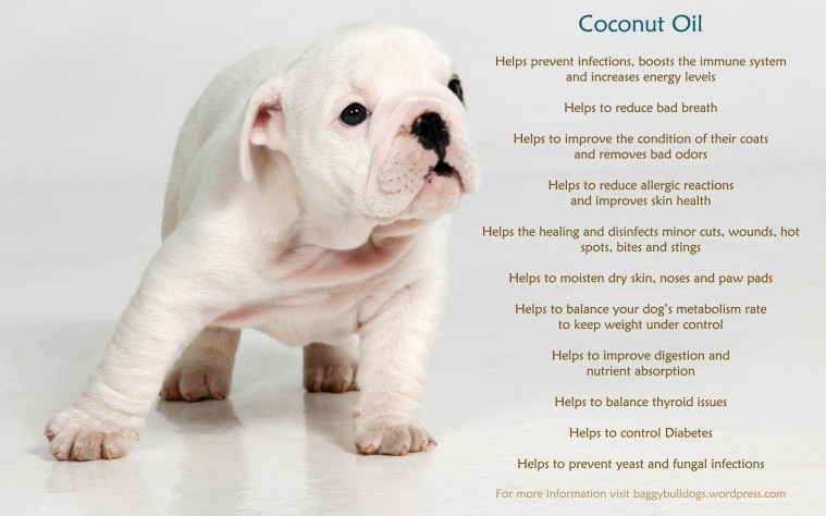 coco-42 coconut oil health benefits