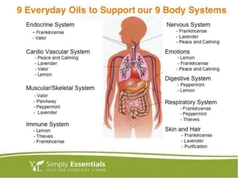 9_everyday_oils_chart