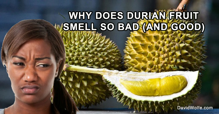 durian-fruit-smell