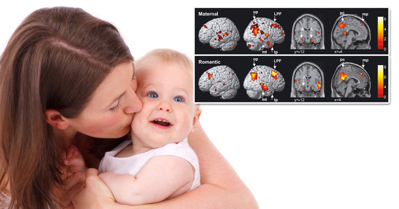 mothers-brain-baby