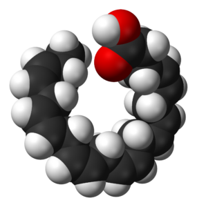 Docosahexaenoic-acid-3D-sf