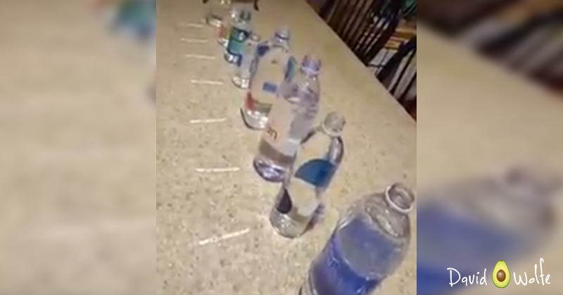 Water_Bottles_Final_2