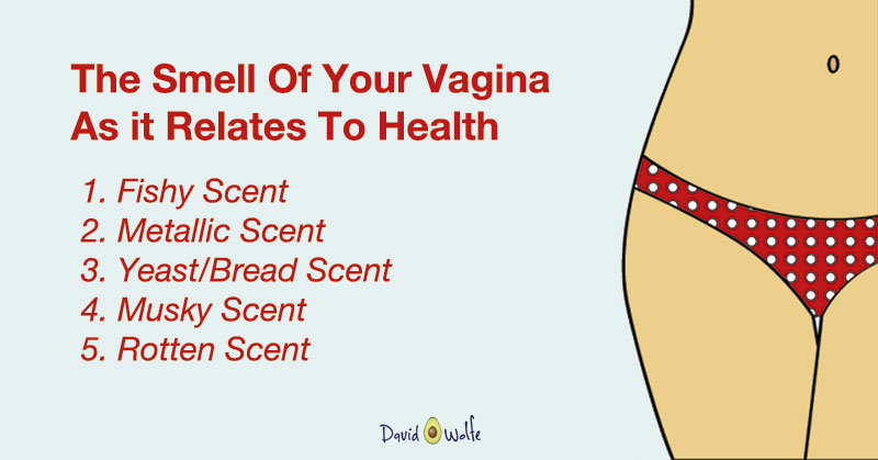 What Smell Should A Healthy Vagina Have