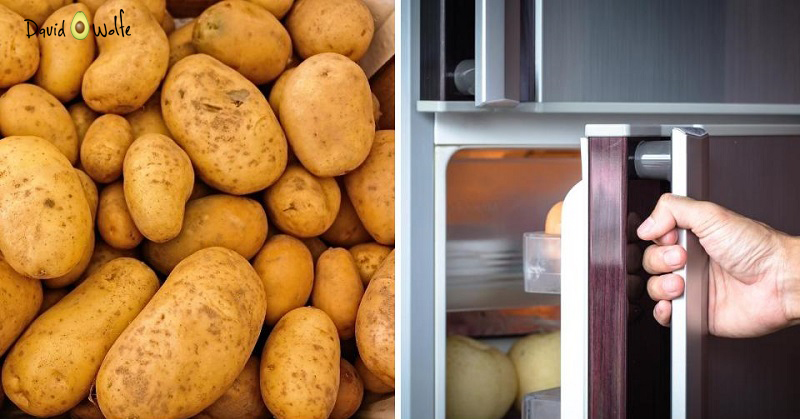 potatoe refrigerator