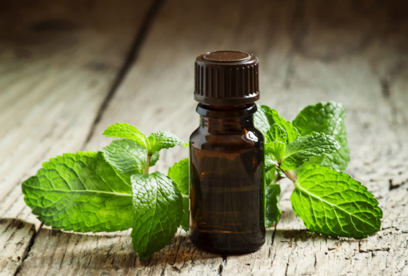 essential oils natural remedies the flu