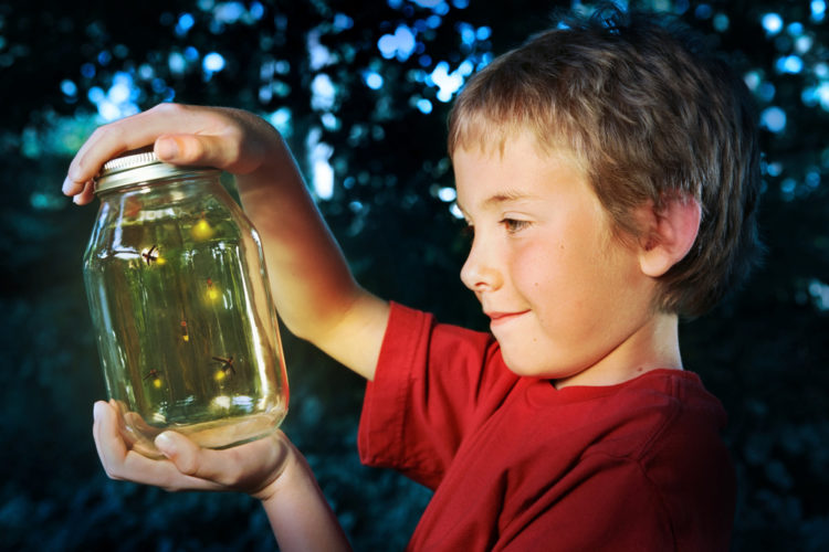 Don't be like this kid. attract fireflies