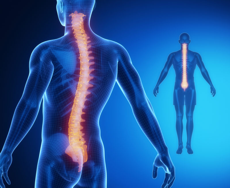 chiropractic care during recovery