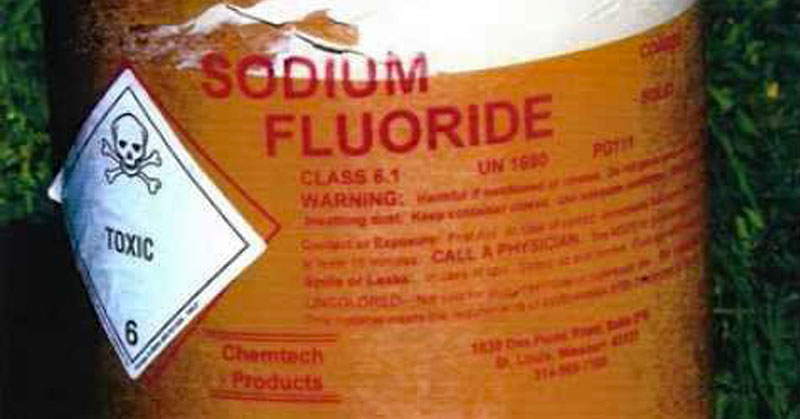 fluoride autism FI