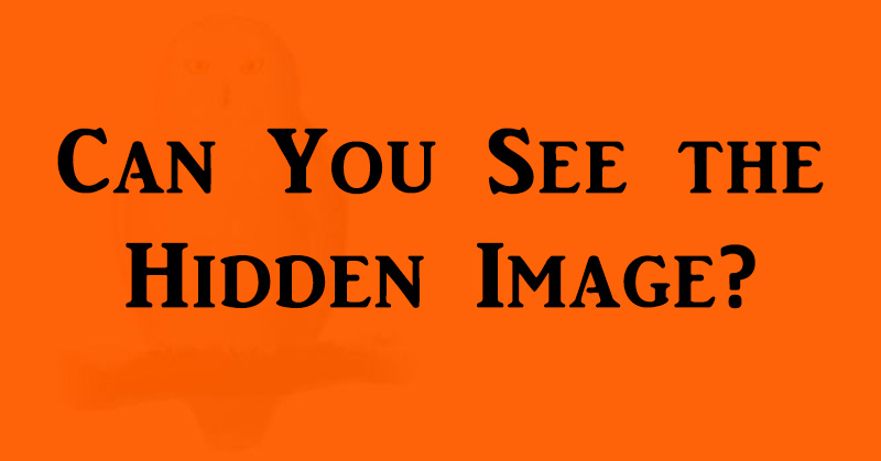 hidden image introverts FI