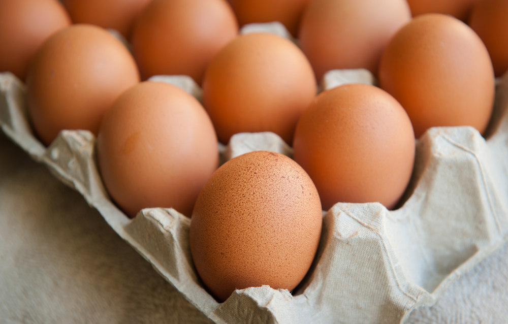 shutterstock_255816604 eggs accelerate weight loss