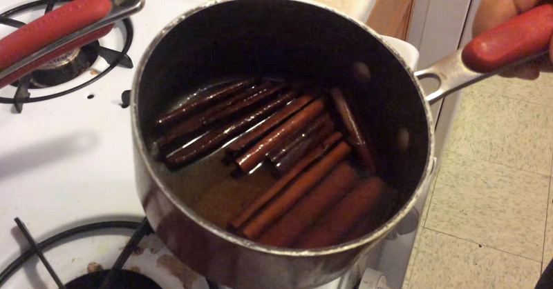 boiling cinnamon sticks FI