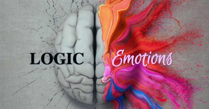 brain logic emotion FI