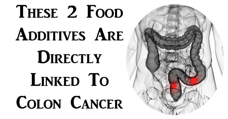 food additives cancer FI