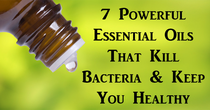 essential oils bacteria FI