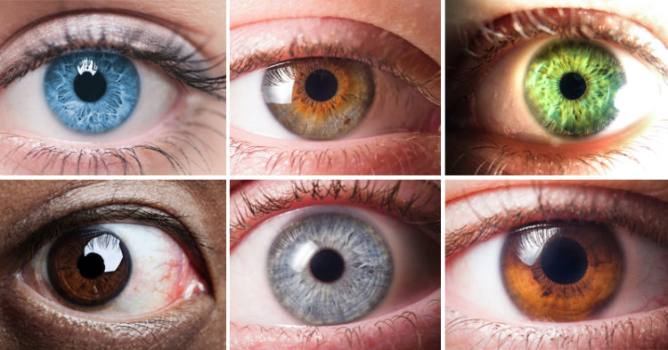 This Is What Your Eye Color Reveals About You! - David Avocado Wolfe