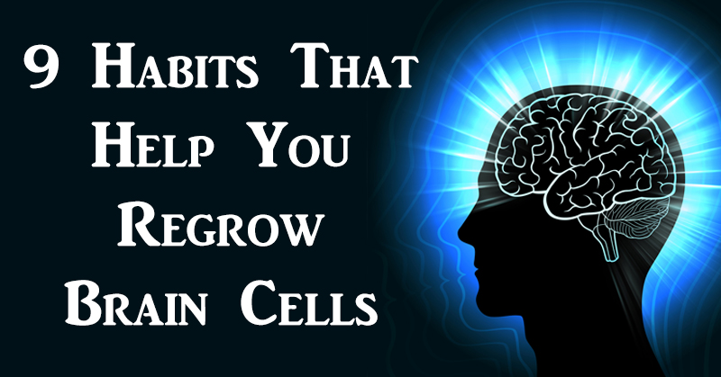 regrow brain cells FI