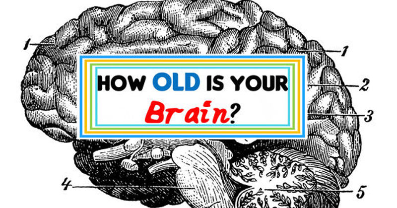 brain age