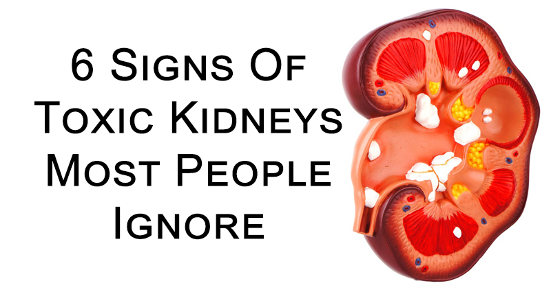 toxic kidneys FI