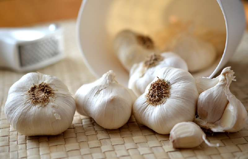 lyme disease garlic