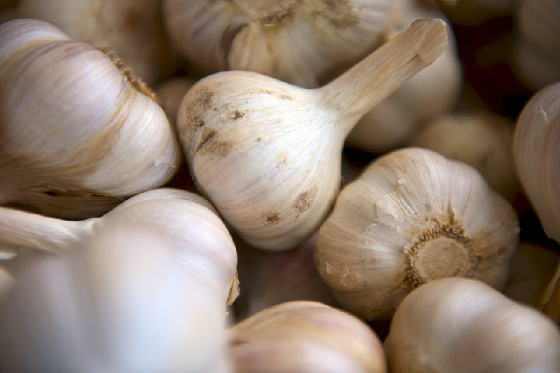 mumps garlic