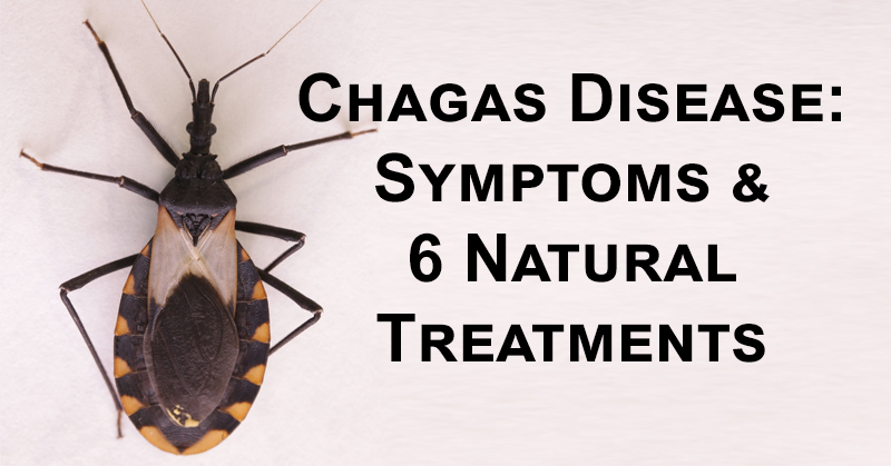 chagas disease FI