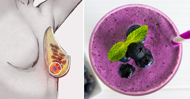 blueberry health benefits FI
