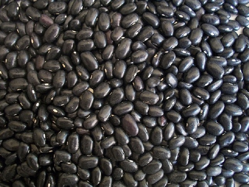 Black Beans Health Benefits