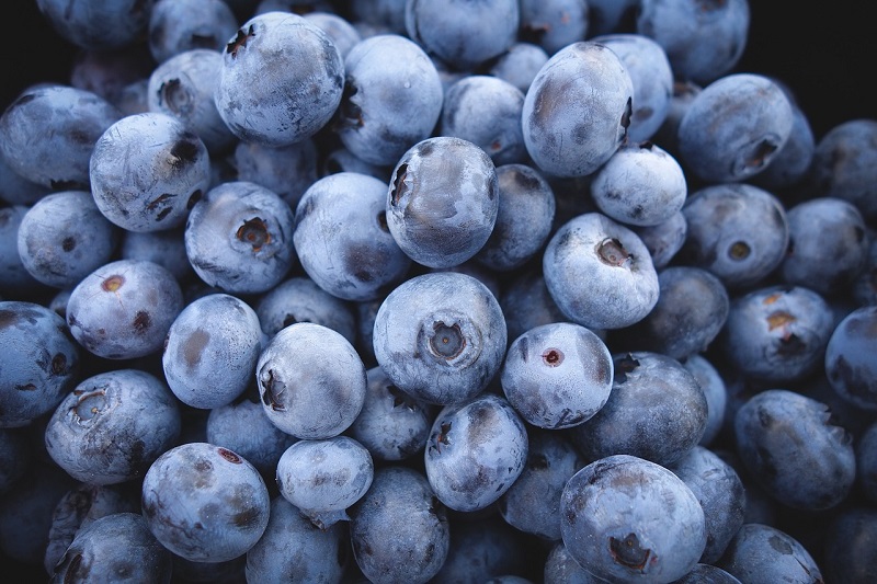 Blueberry Health Benefits