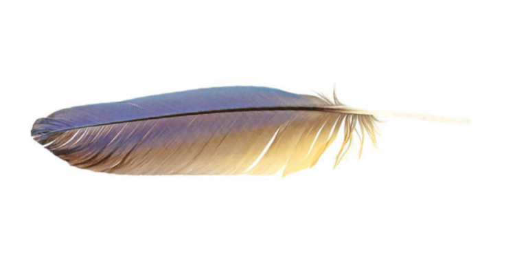 feather 2 personality