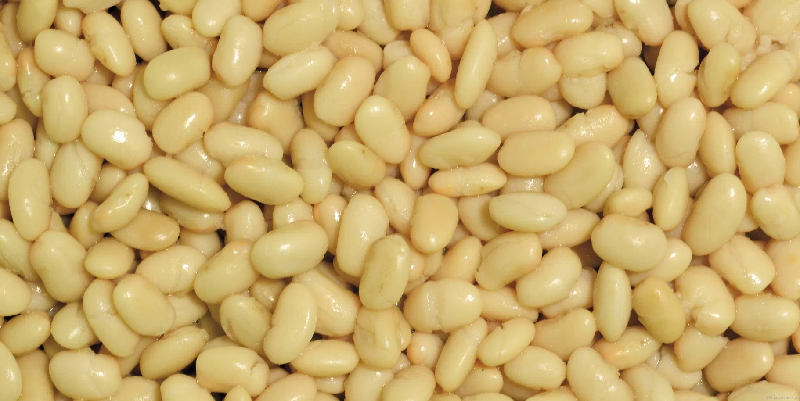 Cannellini beans benefits