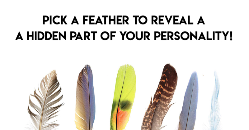 pick a feather personality FI