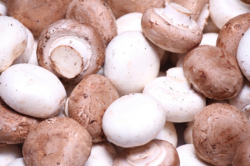 Cremini Mushrooms Health Benefits