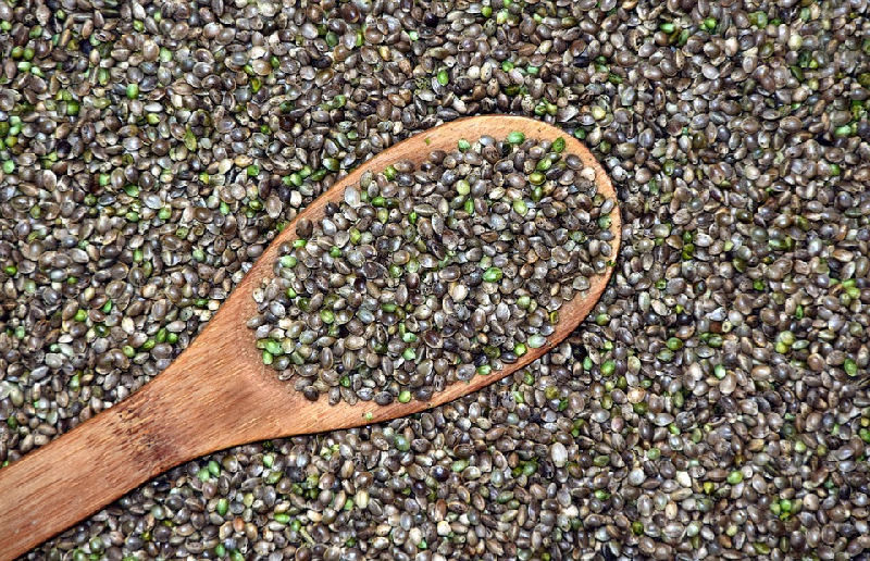 benefits of hemp seeds