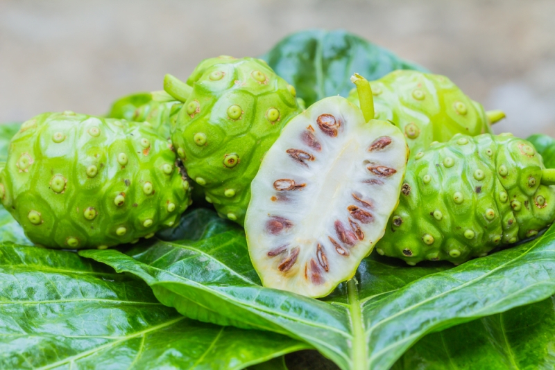 noni top superfoods