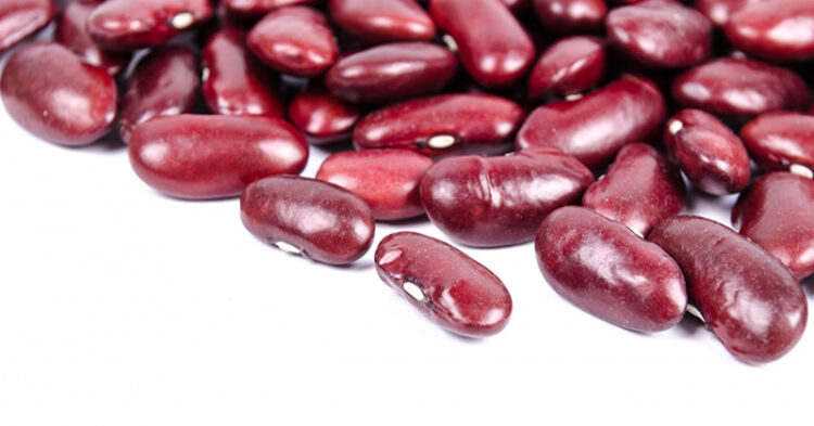 signatures kidney beans