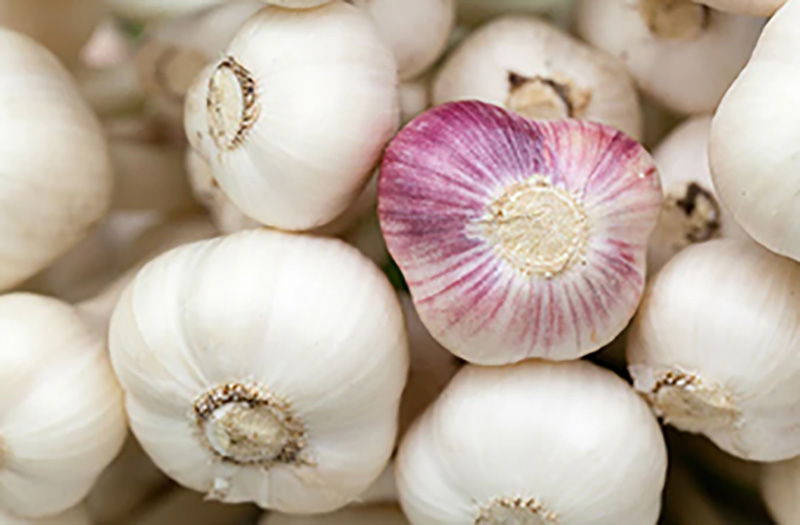 detox foods garlic