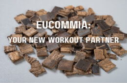 eucommia bark FI