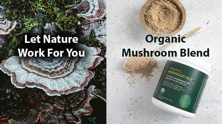 mushroom blend FI