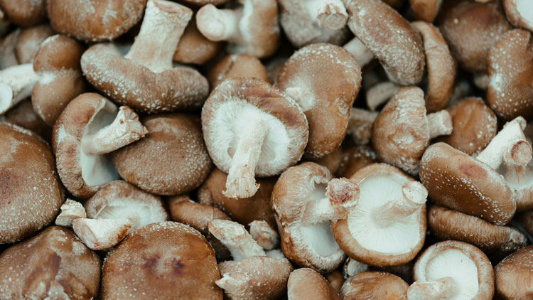 shiitake mushroom blend